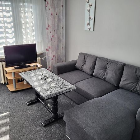 Apartament Sosnowy Z Parkingiem Stary Toruń Exterior foto